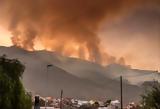 Πυρκαγιά, Τενερίφη, Aπομακρύνθηκαν,pyrkagia, tenerifi, Apomakrynthikan