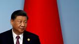 Σι Τζινπίνγκ, BRICS, Νότια Αφρική,si tzinpingk, BRICS, notia afriki