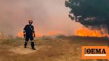 Φωτιά, Αλεξανδρούπολη, - Αναζωπυρώσεις,fotia, alexandroupoli, - anazopyroseis