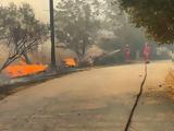Φωτιά – Αλεξανδρούπολη, Σώθηκε, Δωρικό,fotia – alexandroupoli, sothike, doriko