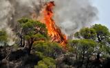 Συναγερμός, Πυροσβεστική – Υψηλός, Χαλκιδική,synagermos, pyrosvestiki – ypsilos, chalkidiki