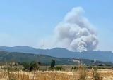 Τεράστιες, Αλεξανδρούπολη, Κάηκαν, – Nέο, Δαδιάς,terasties, alexandroupoli, kaikan, – Neo, dadias