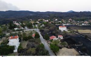 Άμεση, Αλεξανδρούπολη, amesi, alexandroupoli