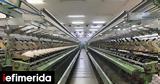 Μέσα, ϋφαντουργία Πεταλούδα -Τι, Μουζάκη [εικόνες],mesa, yfantourgia petalouda -ti, mouzaki [eikones]