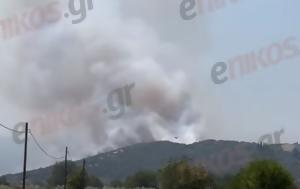 Φθιώτιδα, Μεγάλη, Μακρακώμη – ΒΙΝΤΕΟ, fthiotida, megali, makrakomi – vinteo