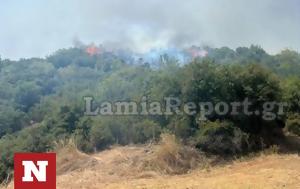 Φθιώτιδα, Πυρκαγιά, Μακρακώμη, fthiotida, pyrkagia, makrakomi