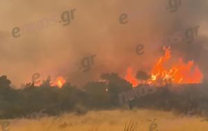 Κόλαση, Φυλή, Συνεχείς, – ΦΩΤΟ, ΒΙΝΤΕΟ, kolasi, fyli, synecheis, – foto, vinteo