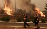 Ανεξέλεγκτη, Φυλή - Ανεβαίνει, Πάρνηθα ΦΩΤΟ - VIDEO,anexelegkti, fyli - anevainei, parnitha foto - VIDEO