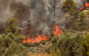 Πυρκαγιά, Σαμπθράκη, Γαλατά Ναυπακτίας, pyrkagia, sabthraki, galata nafpaktias