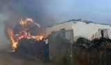 Φωτιά, Πάρνηθα, Ώρες,fotia, parnitha, ores
