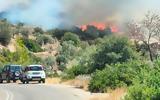 Βοιωτία, Μεγάλη, Βάγια - Απεγκλωβίστηκαν,voiotia, megali, vagia - apegklovistikan