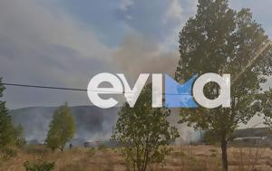 Φωτιά, Εύβοια, Πύρινο, Δοκό, Κοντοδεσπότι –, fotia, evvoia, pyrino, doko, kontodespoti –