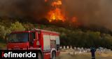 ΥΠΕΞ, Ευχαριστήριο, Βουλγαρία Αλβανία, Σλοβακία, Ελλάδα,ypex, efcharistirio, voulgaria alvania, slovakia, ellada