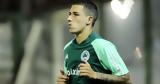 Παναθηναϊκός, Αϊτόρ,panathinaikos, aitor