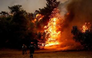 Πύρινο, Αλεξανδρούπολη, Ροδόπη - Ολονύχτια, pyrino, alexandroupoli, rodopi - olonychtia