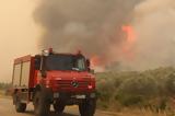 Φωτιά, Χαλκίδα, Προσαγωγή 48χρονου,fotia, chalkida, prosagogi 48chronou