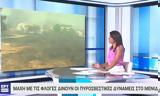 ΕΡΤ,ert