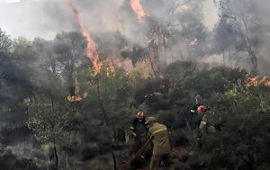 Και τι μας προσφέρουν τα δάση για να τα πληρώνουμε;