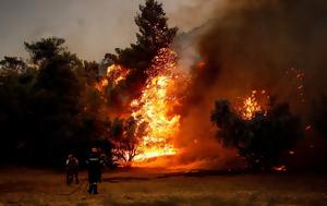 Φωτιές Ελλάδα, Συνεχίζεται, Πάρνηθα Έβρο Ροδόπη Βοιωτία, foties ellada, synechizetai, parnitha evro rodopi voiotia