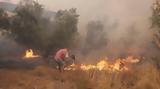 Ζάκυνθος, Συνεχίζονται, Διεύθυνση Αντιμετώπισης Εγκλημάτων Εμπρησμού,zakynthos, synechizontai, diefthynsi antimetopisis egklimaton ebrismou