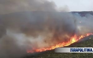 Φωτιά, Άνδρο, Ολονύχτια, - Eνισχύθηκαν, Βίντεο, fotia, andro, olonychtia, - Enischythikan, vinteo