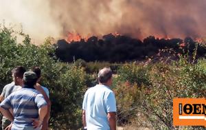 Τεράστιο, Έβρο, Μήνυμα, 112, Λευκίμμη, Κασσιτερά Ροδόπης, terastio, evro, minyma, 112, lefkimmi, kassitera rodopis