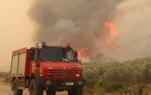 Μάχη, Έβρο, Ροδόπη-, Αλεξανδρούπολης, machi, evro, rodopi-, alexandroupolis