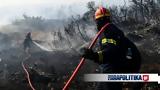 Τι πήγε στραβά με τις φετινές φωτιές - Οι αιτίες που έγινε στάχτη  ο στρατηγικός σχεδιασμός πρόληψης και καταστολής των δασικών πυρκαγιών,