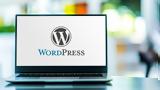 WordPress,100