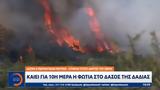 Δέσμη, - Στήριξη, Έβρου,desmi, - stirixi, evrou