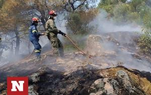 Φωτιές, Αναζωπυρώσεις, Έβρο, Ροδόπη - Αντιμέτωποι, foties, anazopyroseis, evro, rodopi - antimetopoi