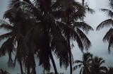 Καταιγίδα Ιντάλια Φλόριντα, Συναγερμός, Αρχές – Απειλούνται,kataigida intalia florinta, synagermos, arches – apeilountai