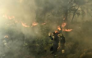 Συναγερμό, WWF - Έχουν, Natura, synagermo, WWF - echoun, Natura