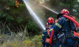 Φωτιά, Γεράκι Ηλείας - Κινητοποιήθηκαν,fotia, geraki ileias - kinitopoiithikan