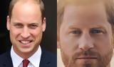 William – Harry, Έτοιμοι, Kate Middleton,William – Harry, etoimoi, Kate Middleton