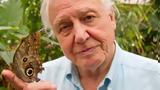 David Attenborough,Planet Earth -