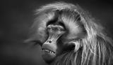 Black,White Photo Awards 2023