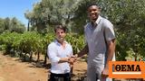 Giannis Antetokounmpo,Hellenic Wineries