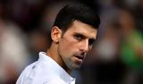 Νόλε, Υόρκη, 24ο Grand Slam,nole, yorki, 24o Grand Slam