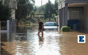 SOS Μαγιορκίνη, - Καμπανάκι, Δυτικού Νείλου, SOS magiorkini, - kabanaki, dytikou neilou