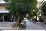 Έλεγε, 38χρονου,elege, 38chronou