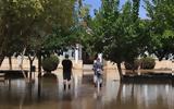 Βόλος, 11η - Αναμένονται,volos, 11i - anamenontai