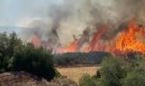 Φωτιά, Μαρκόπουλο Ωρωπού - Μεγάλη,fotia, markopoulo oropou - megali