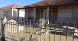 Αγαπηδάκη, Δύο, Θεσσαλία – Παραμένει,agapidaki, dyo, thessalia – paramenei