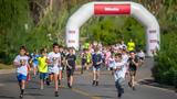 Ντρισμπιώτη Μουρούτσος, Navarino Challenge,ntrisbioti mouroutsos, Navarino Challenge