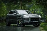 SUV,
