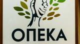 ΟΠΕΚΑ, Στήριξη, Θεσσαλίας,opeka, stirixi, thessalias