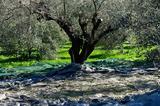 Εξαντλούνται, Ευρώπη – Εκτοξεύεται,exantlountai, evropi – ektoxevetai