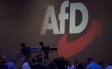 AfD, Κασσελάκης,AfD, kasselakis