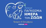 Ολοήμερο, World Animal Day, Novalifε,oloimero, World Animal Day, Novalife